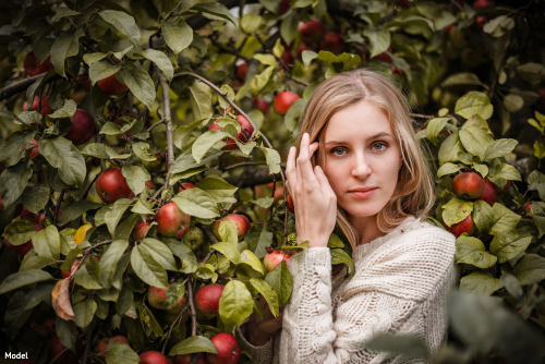 Blonde woman in a knit sweater standing among branches of an apple tree